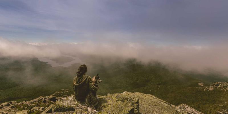 响应式架构
